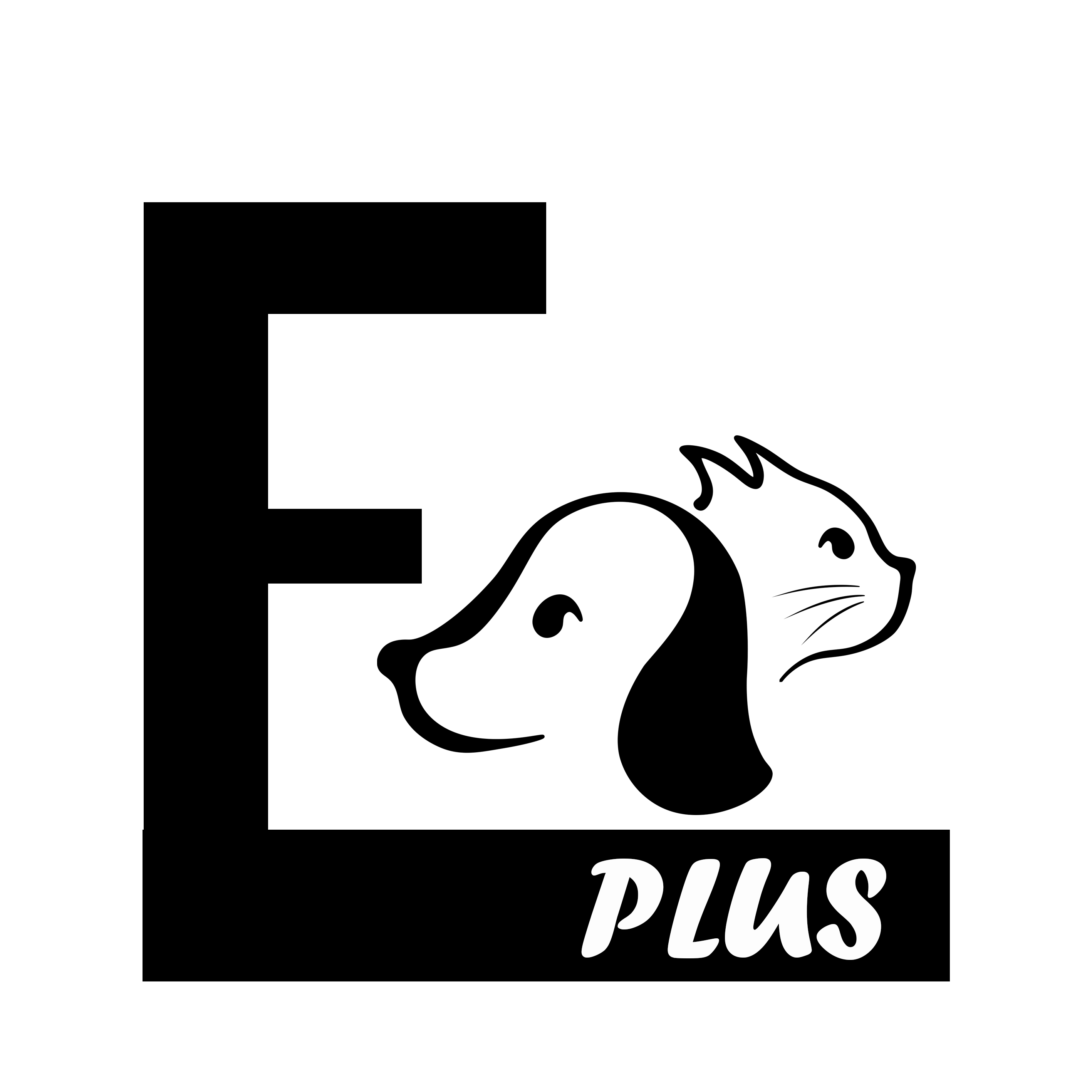 E PLUS PET SUPPLIES LIMITED